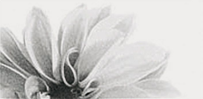 plitka-tile-EU-IT5-Rex-Ceramiche-Artistiche-Made-in-Florim-Black-&-White-Slim-4-Decor-White-Flower-1-600-300-706-345-.jpg