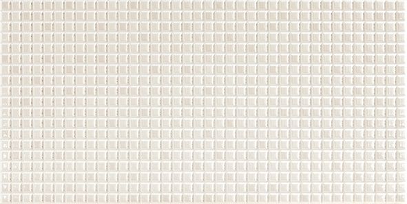 SENSES-NACAR-25X50.jpg SENSES-NACAR-25X50.jpg