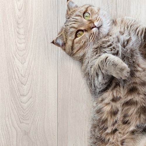 Устойчивость к износу ламината Kronospan Castello Classic