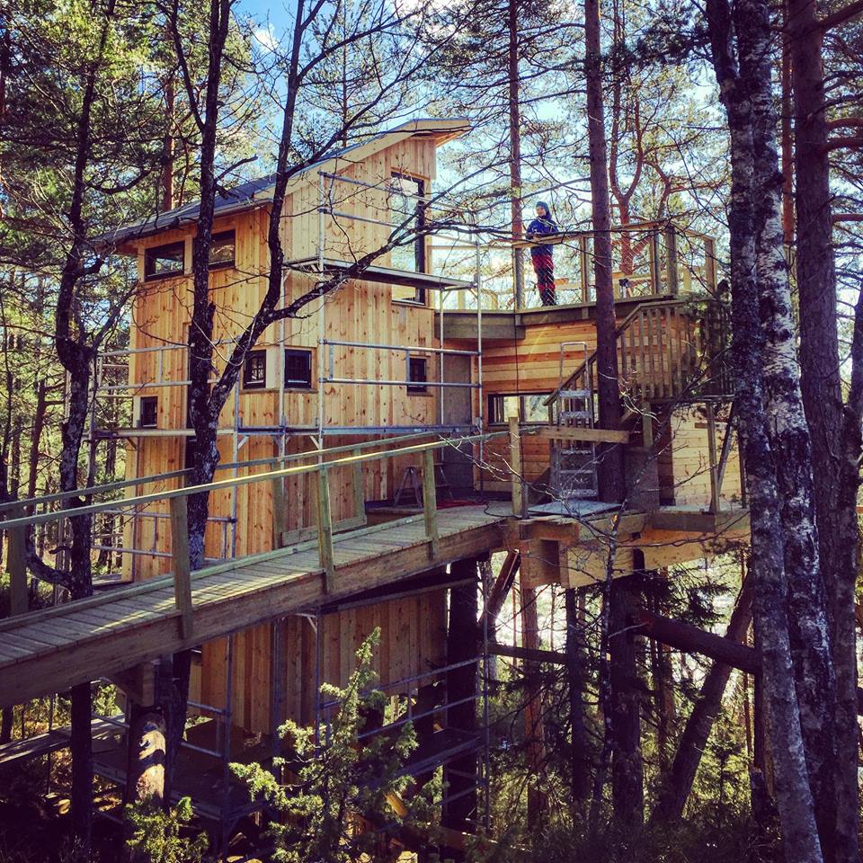 В Норвегии спроектировали и воплотили в жизнь домик на дереве. Деревья не растут идеально ровно, в природе нет прямых линий, и для такого стильного проекта использован паркет Bolefloor