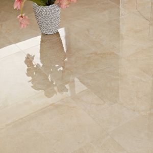 evolutionmarble-12.jpg