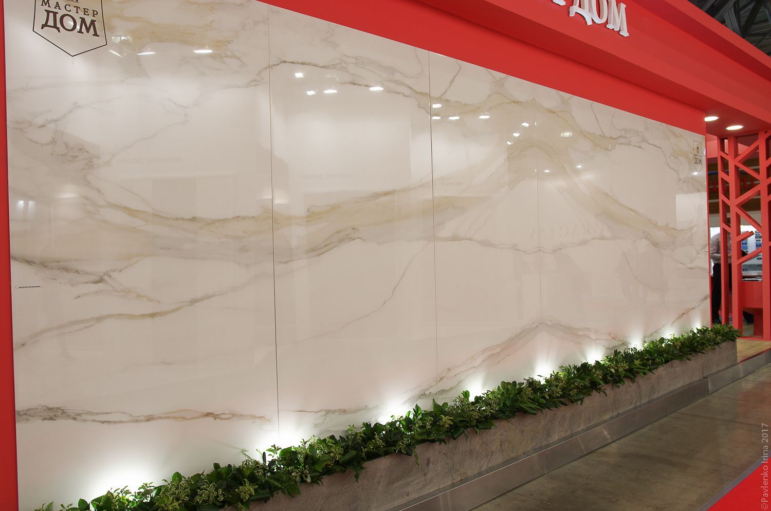 Rex Gold Chain A Glossy 