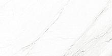 Arcana Les Bijoux D'Arcana Nagoya-R Blanco Polished 59,3X119,3 - фото, изображение товара в интернет-магазине Felicita-crimea.ru, Симферополь, Крым